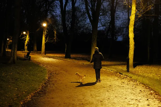 Frau und Hund bei Dunkelheit im Park
