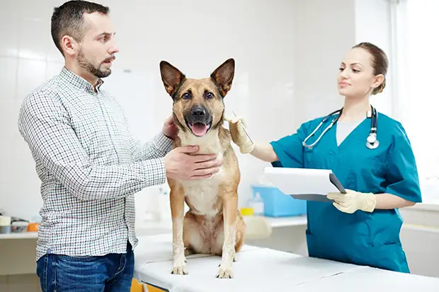 Mit dem Hund beim Tierarzt