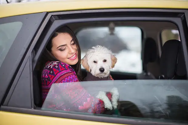 Frau hält den Hund im Auto auf dem Arm