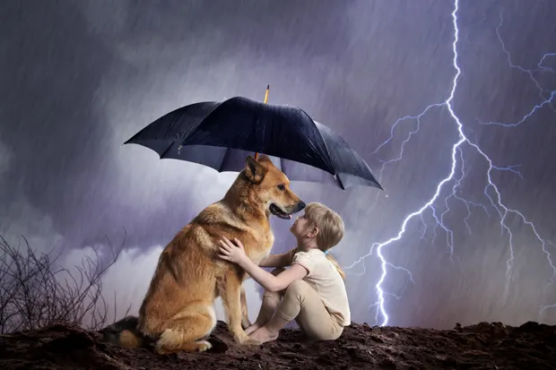Hund und Mädchen bei Gewitter