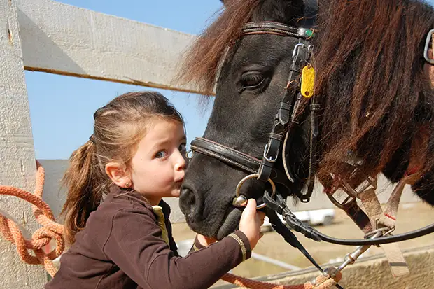 Mädchen mit dem Pony