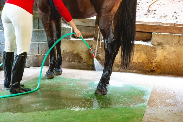 Rutschgefahren durch Feuchtigkeit Pferdehufen waschen