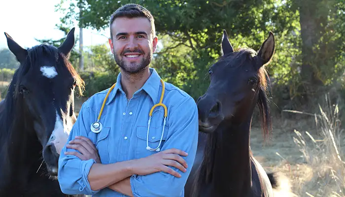 Tierarzt mit Pferden