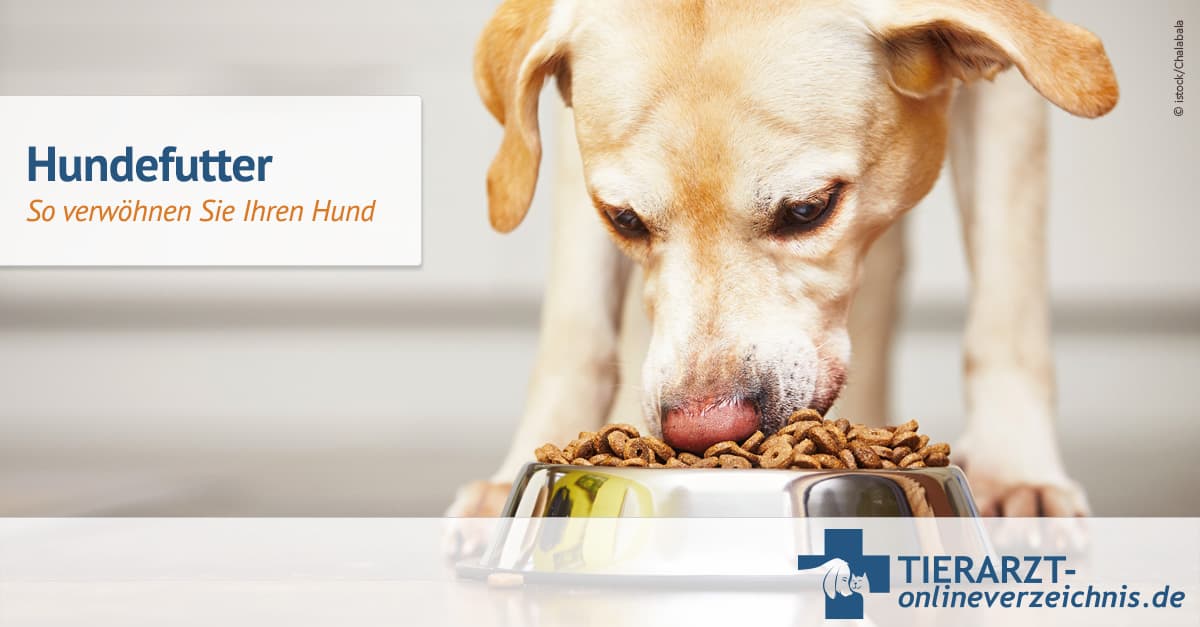 nachhaltiges hundespielzeug P.L.A.Y Hundespielzeug